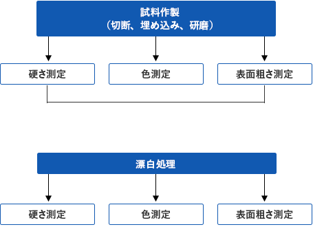 歯面サンプルの評価試験手順