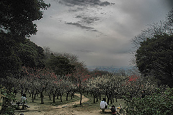 鮮明化後