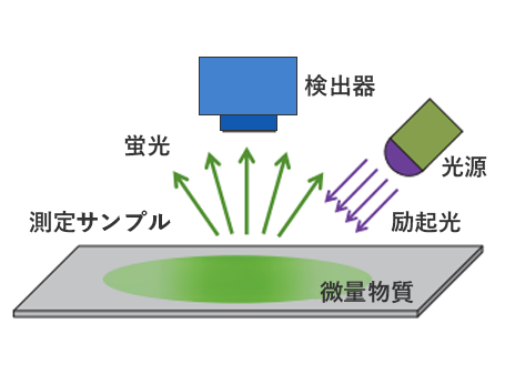 a）測定系の構成