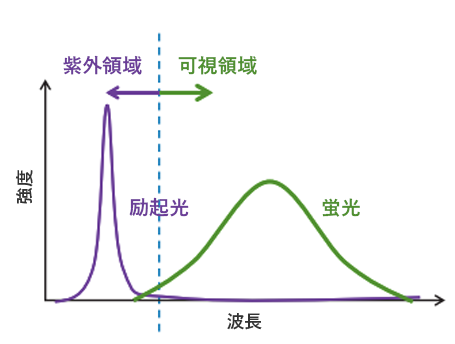 b）物質の蛍光特性