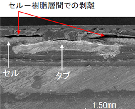 モジュール劣化部断面観察例