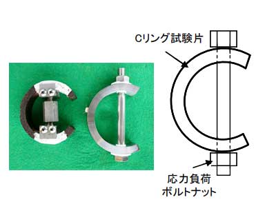 Cリング法試験片