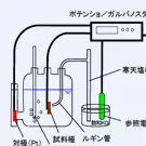 電気化学測定 / 腐食機構の解析