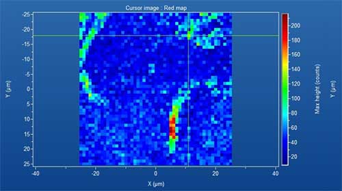 ラマンイメージング画像写真