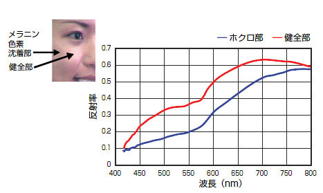 図 皮膚の分光測定