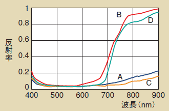 図4 塗りつぶし部の分光反射率