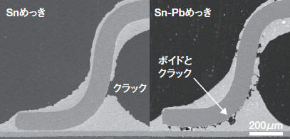 図1 はんだ接合部のSEM断面観察結果