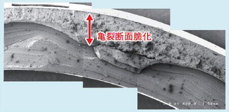 写真1 NBRゴムの亀裂発生事例