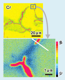 図1 フェライト系ステンレスにおける結晶粒界近傍のCrの分布（白線で線分析位置を示す）