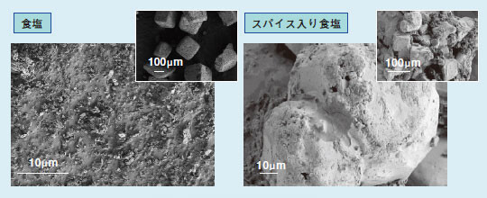 図1　調味料のSEM写真