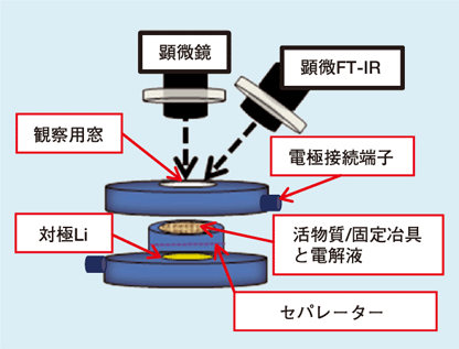 図1　In-situ観察・分析用簡易型充放電セルの構造