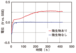 図2 微生物によるステンレス鋼の電位貴化