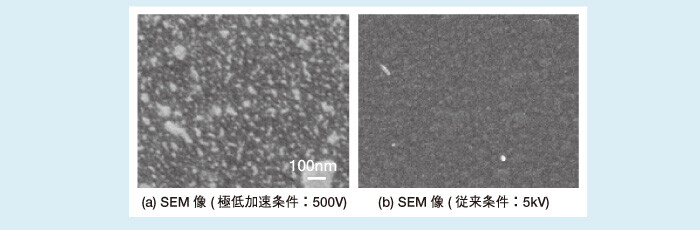 ULV-SEMによる絶縁物の最表面観察例