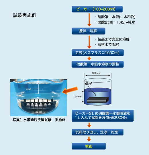 水銀溶液浸漬試験　実施例