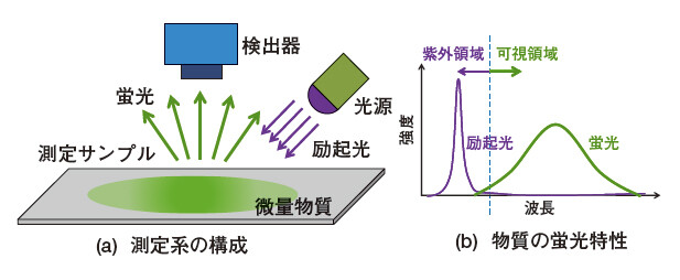 図 測定系の基本構成と蛍光特性