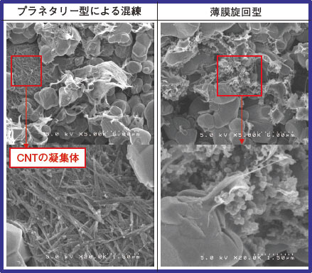 写真1 コバルト酸リチウム正極膜断面のSEM像