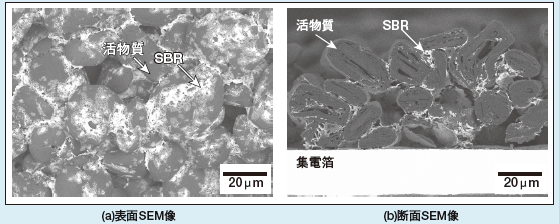 図2 オスミウム染色法による負極膜中のSBRの観察例（白色部：SBR）