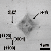 図1 圧痕および亀裂を作製した炭化ケイ素ウェハー