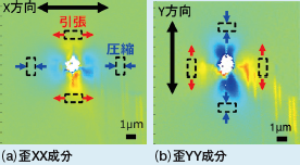 図2 圧痕周辺部の歪解析結果