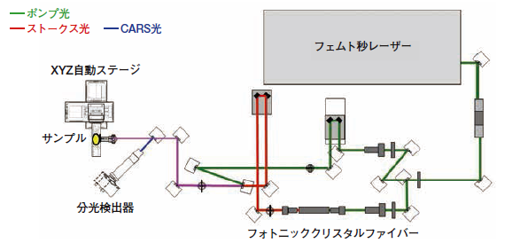 図　CARS分光イメージング装置の光学系概要