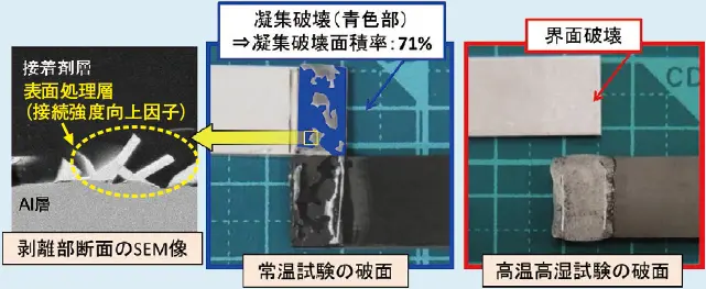 図3　試験環境による破面の違い