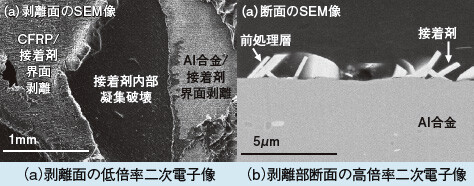 図1 Al合金とCFRP接着部のせん断剥離面のSEM観察事例