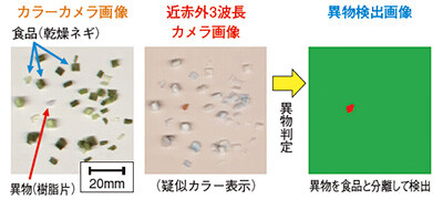 図３ 乾燥ネギ中の異物検査例