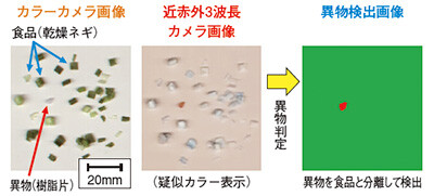 図3 乾燥ネギ中の異物検査例