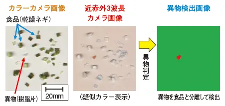 図３ 乾燥ネギ中の異物検査例