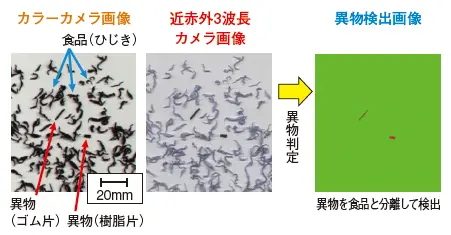 図４ ひじき中の異物検査例