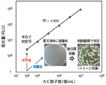 図2 カビ胞子数と発光量(ATP量)の相関性