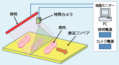 図1 骨検査装置の概要