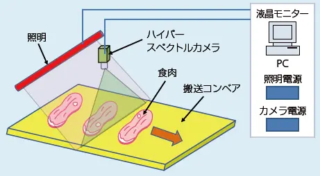 図１ 骨検査装置の概要