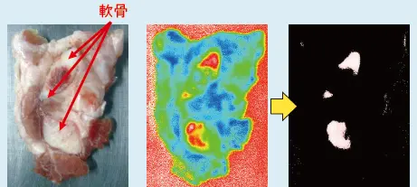 図２ 豚肉中の軟骨検査例