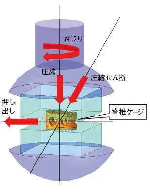 図1 試験概略図