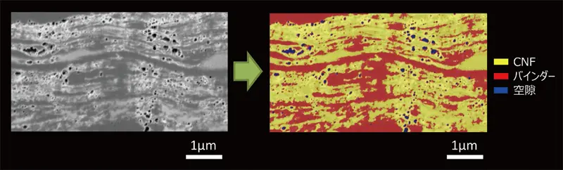 図1　FIB加工面のULV-SEM像（左）と多値化による構成要素の分類（右）