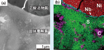 全固体電池正極層のTEM-EDX分析例