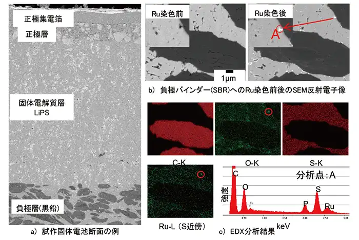 図2 全固体電池断面SEM像とバインダーのRu電子染色例