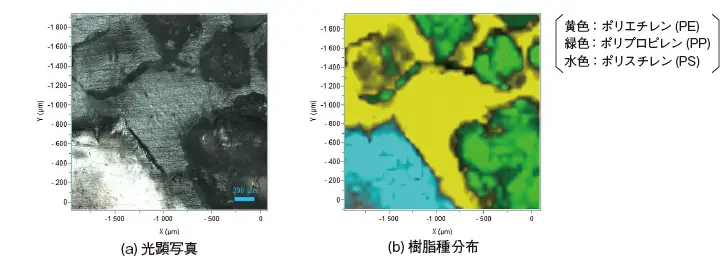 図1　ブレンドポリマー構成成分の分布状態（サイズ：2mm×2mm）