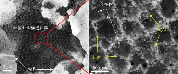 図2　SUS316L 積層造形材組織内の転位セル構造の可視化例（30kV SEM-ECCI像）