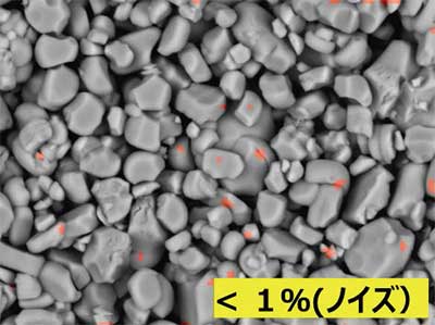 コートなし写真