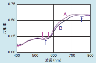 図2 A、B点の分光反射率（矢印部に極小値がある）