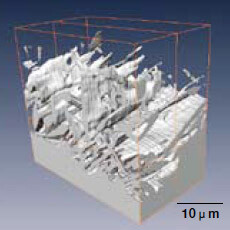 図1 マイクロスパイクのFIB-SEM による3次元構築像